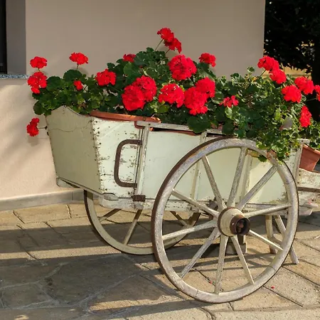 Apartmán Alfredo